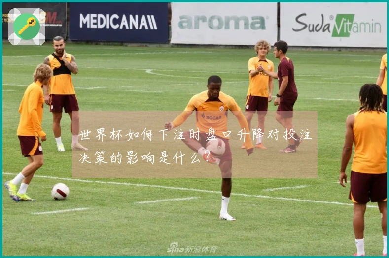 世界杯如何下注时盘口升降对投注决策的影响是什么？