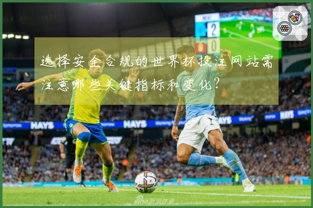 选择安全合规的世界杯投注网站需注意哪些关键指标和变化？