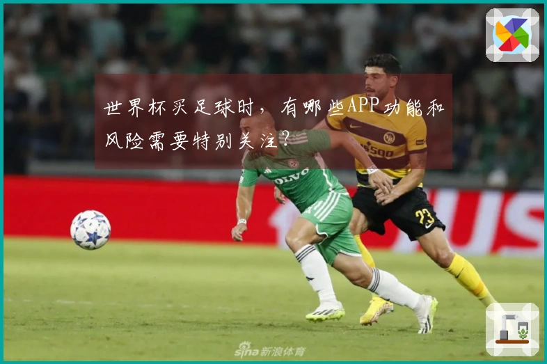 世界杯买足球时，有哪些APP功能和风险需要特别关注？