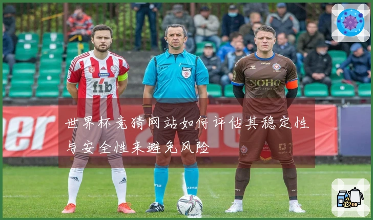 世界杯竞猜网站如何评估其稳定性与安全性来避免风险