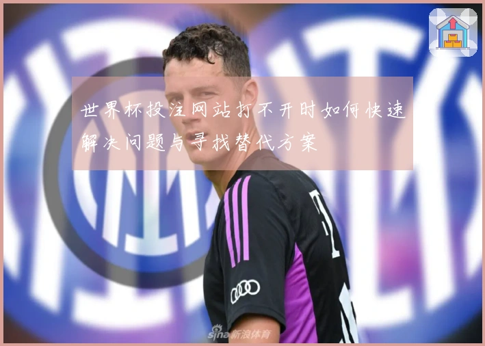 世界杯投注网站打不开时如何快速解决问题与寻找替代方案