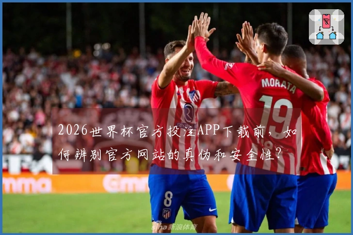2026世界杯官方投注APP下载前，如何辨别官方网站的真伪和安全性？