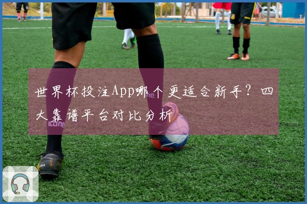 世界杯投注App哪个更适合新手?四大靠谱平台对比分析