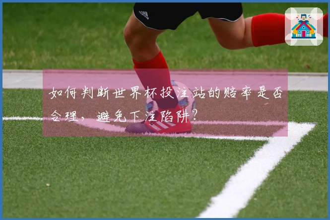 如何判断世界杯投注站的赔率是否合理，避免下注陷阱？