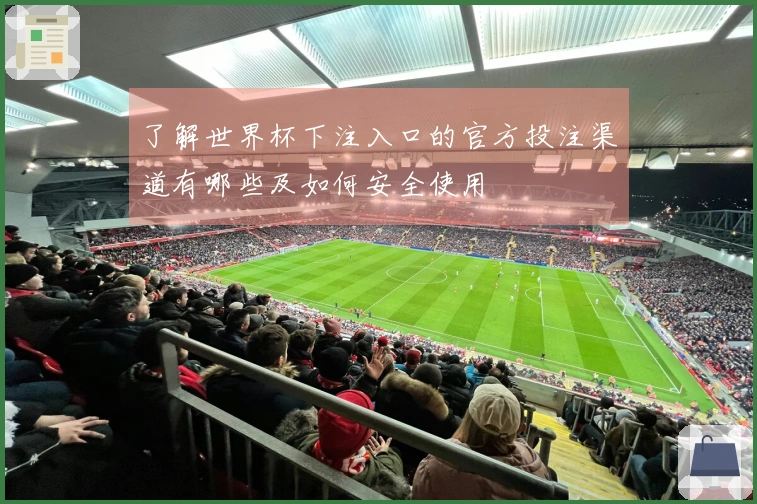 了解世界杯下注入口的官方投注渠道有哪些及如何安全使用