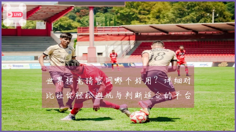 世界杯竞猜官网哪个好用？详细对比让你轻松避坑与判断适合的平台